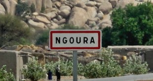 Ngoura-310×165-1